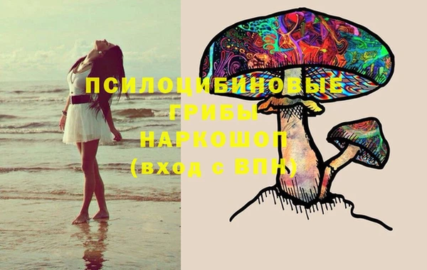а пвп мука Абаза